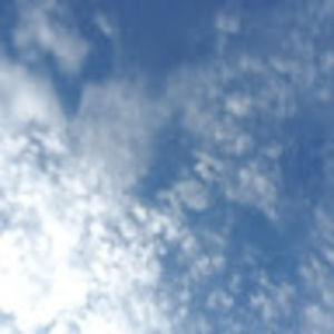 Meet your Posher, Corey